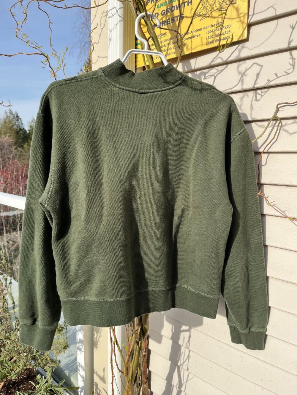 olive green sweater